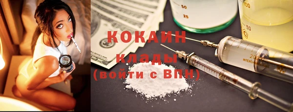 индика Бронницы