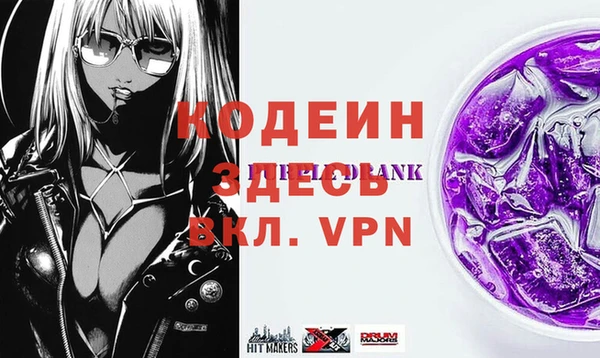 индика Бронницы