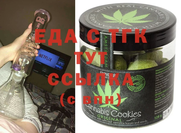 индика Бронницы