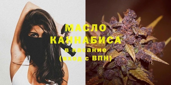 индика Бронницы