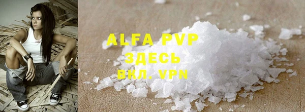 индика Бронницы